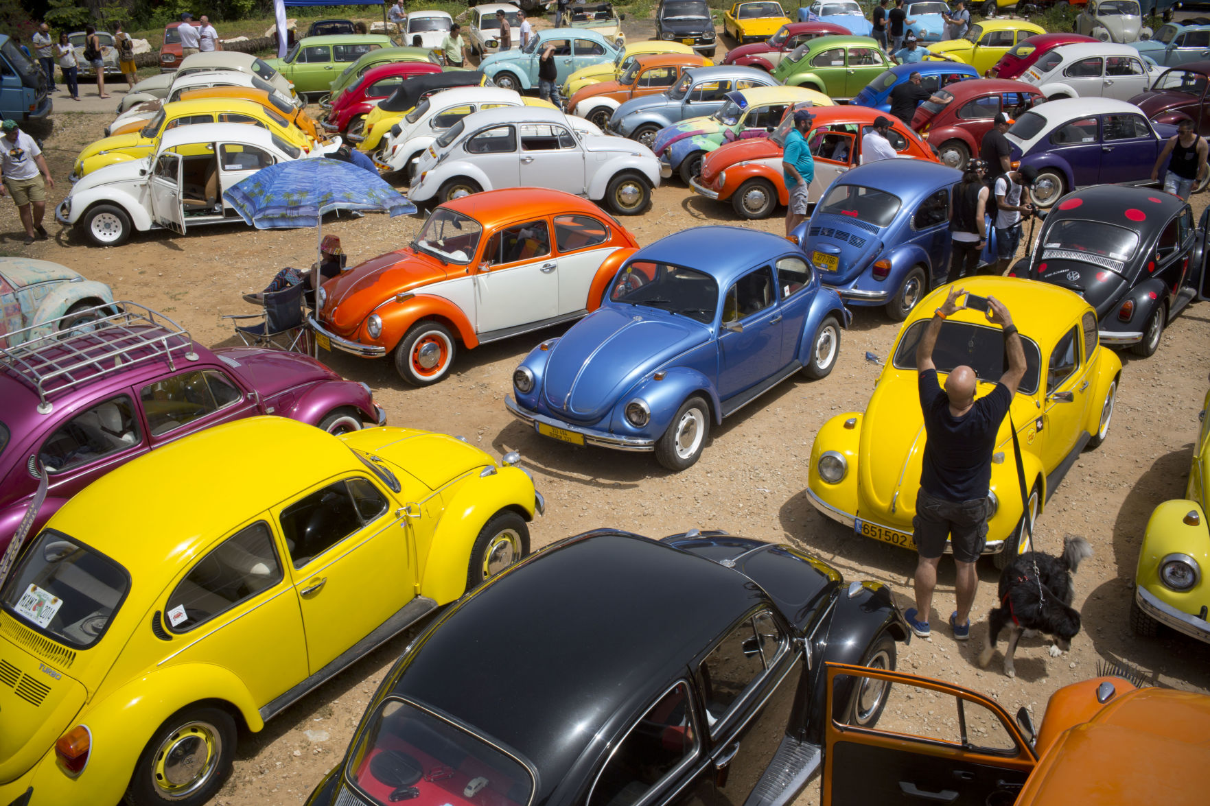 The Last Beetle